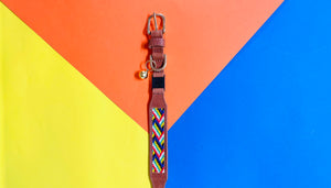 Springbokkie Pet Collar