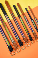 Load image into Gallery viewer, Springbokkie Pet Collar
