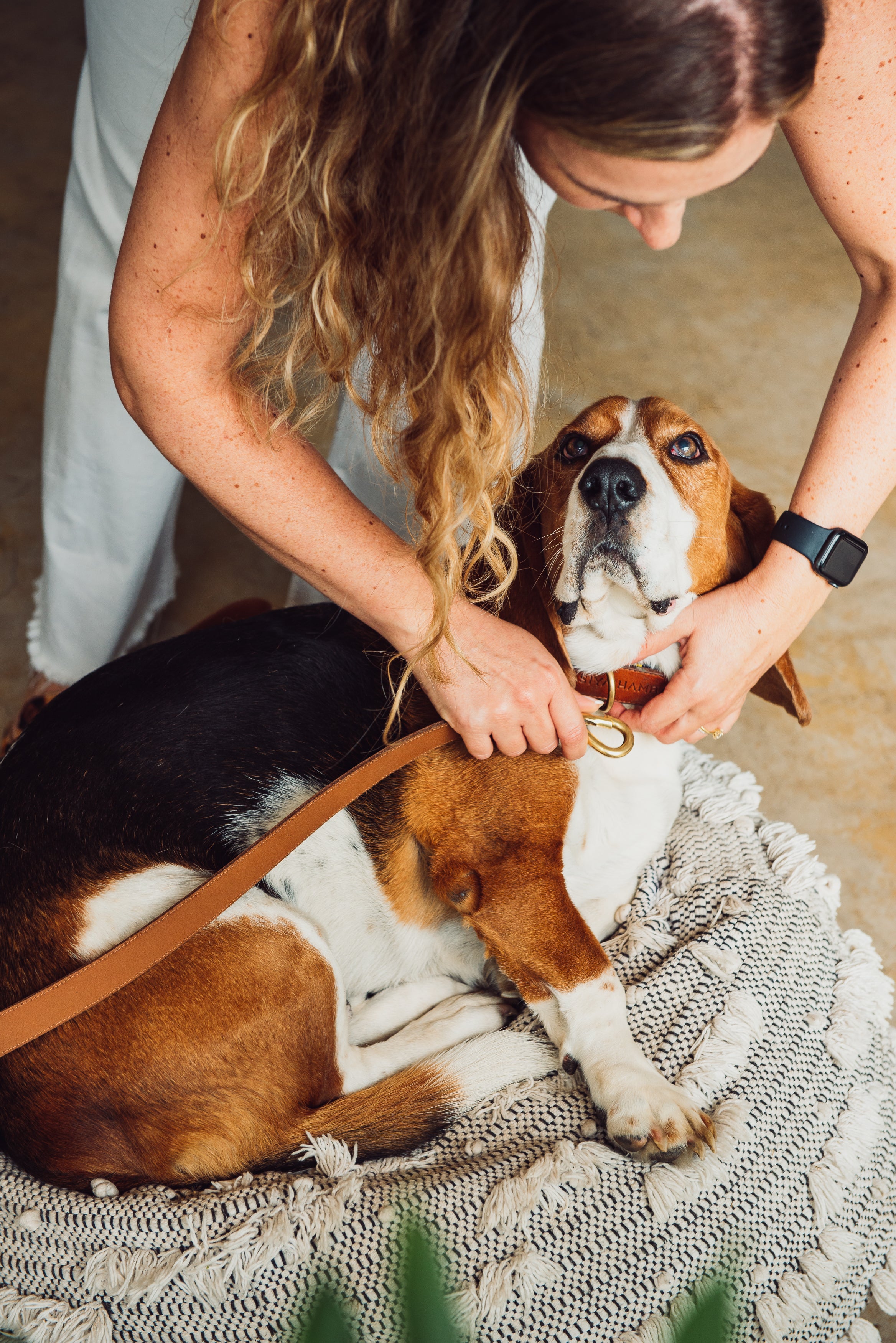 Longer Pet Leash