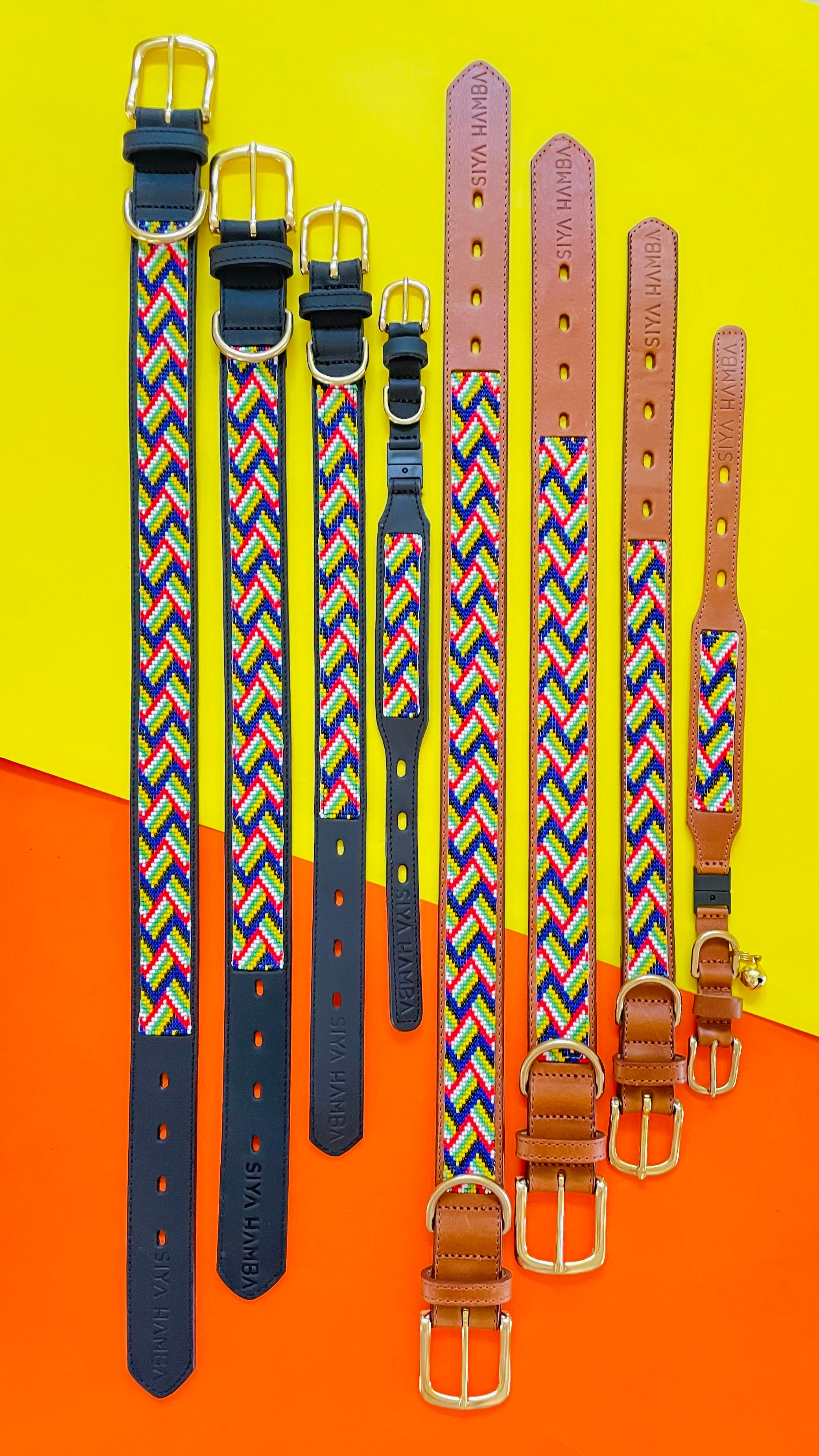 Springbokkie Pet Collar