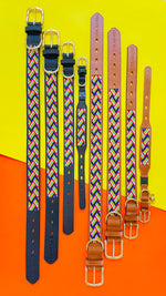 Load image into Gallery viewer, Springbokkie Pet Collar
