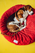 Load image into Gallery viewer, Pet Leash
