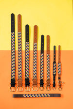 Load image into Gallery viewer, Springbokkie Pet Collar
