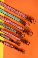 Load image into Gallery viewer, Indlela Pet Collar
