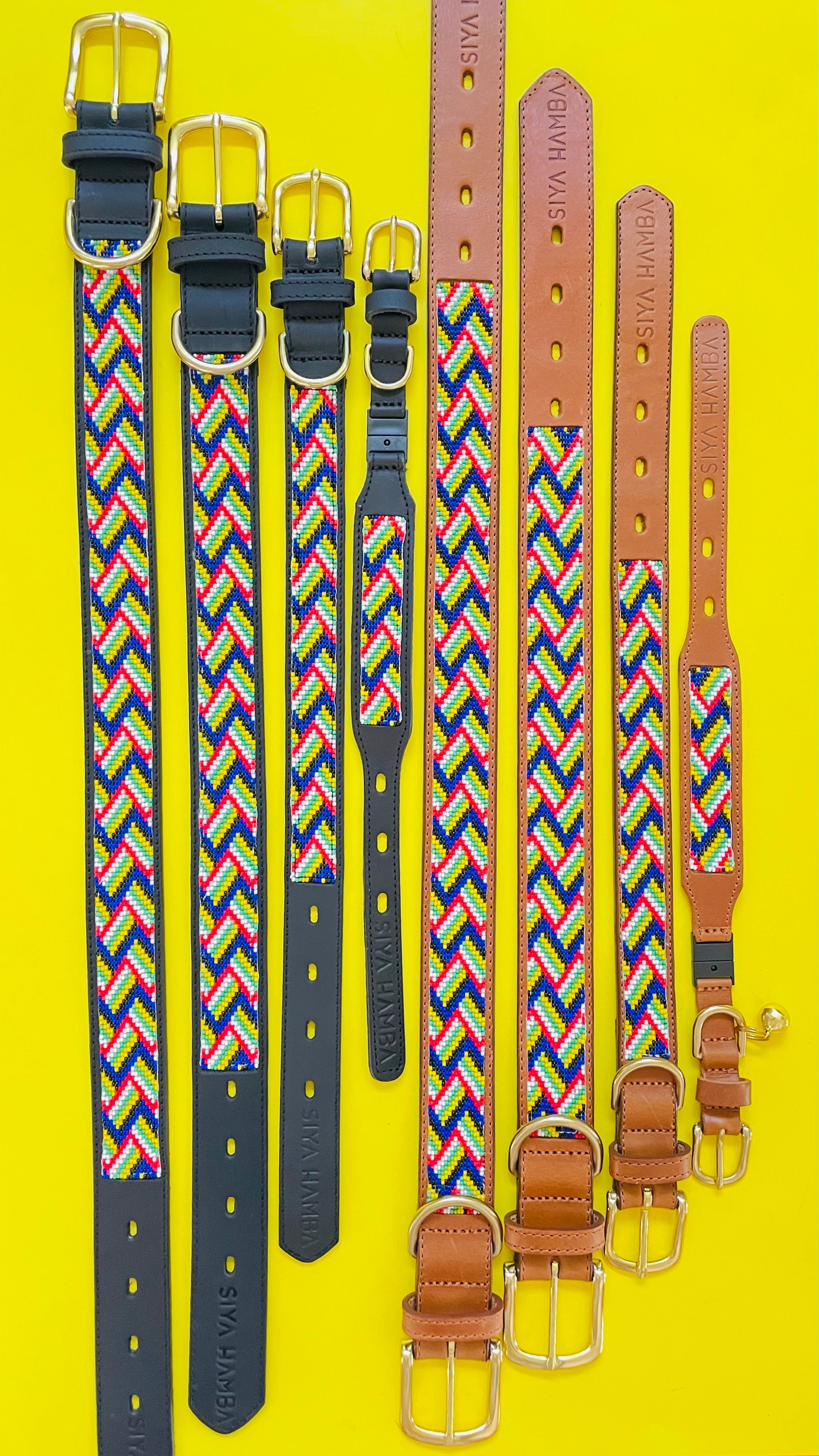 Springbokkie Pet Collar