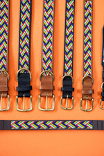 Load image into Gallery viewer, Springbokkie Pet Collar
