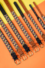 Load image into Gallery viewer, Springbokkie Pet Collar
