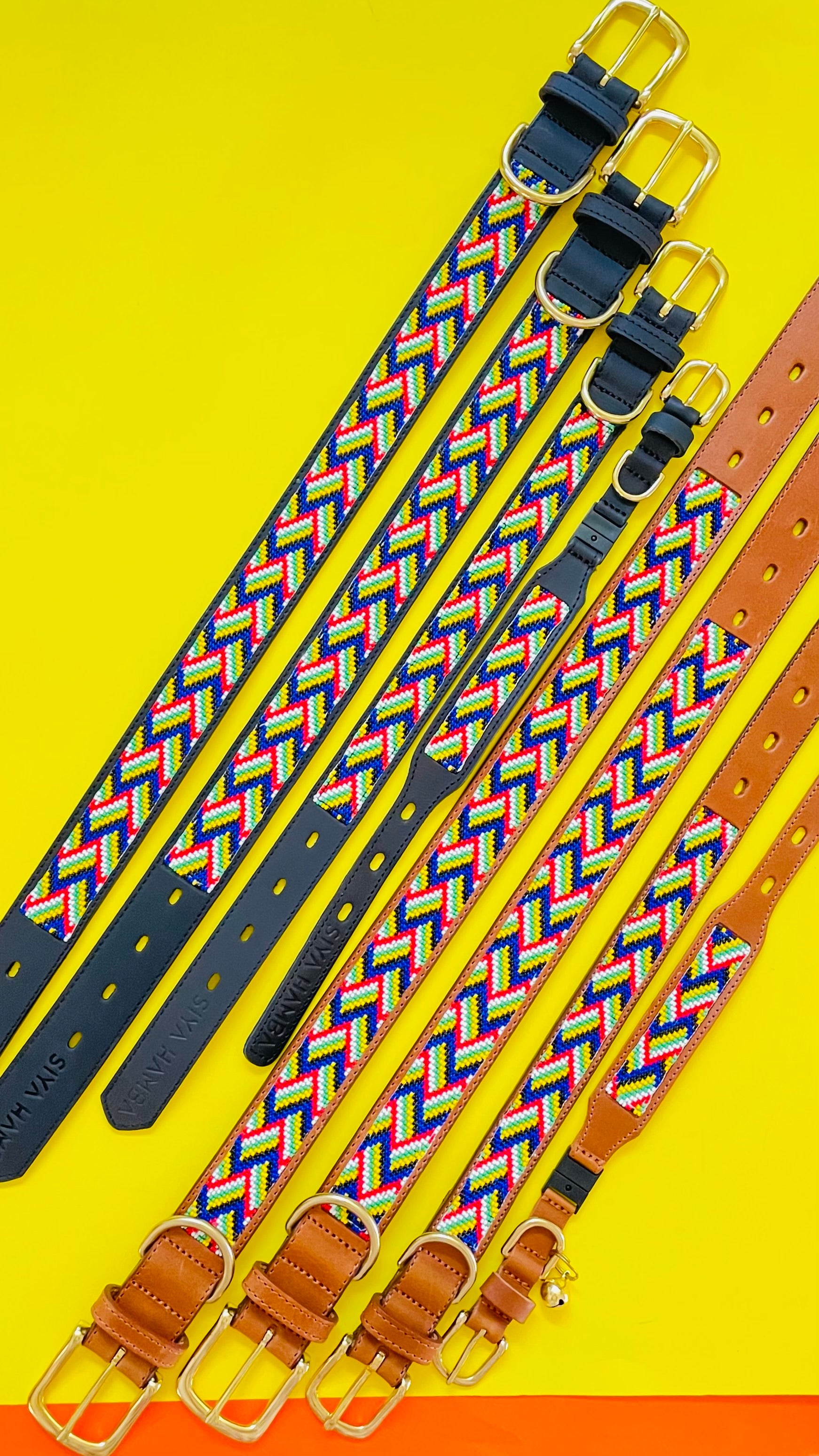 Springbokkie Pet Collar