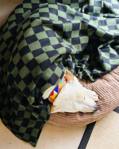 Blankets for Charity