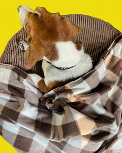 Blankets for Charity