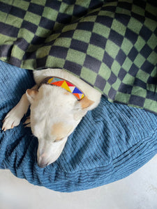 Blankets for Charity