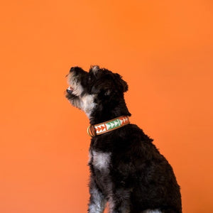 Jingles Pet Collar